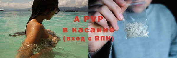хмурый Анива