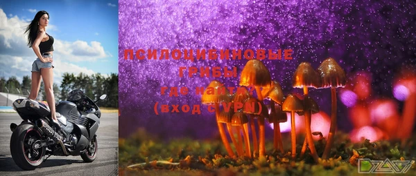 не бодяженный Магадан