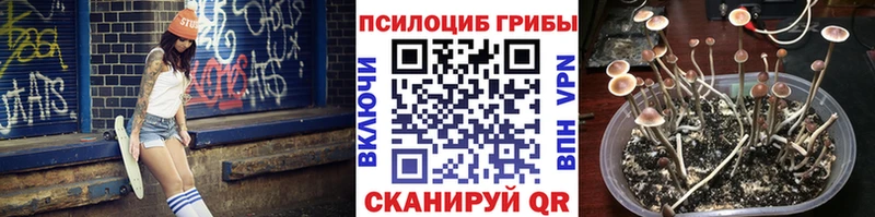 Псилоцибиновые грибы ЛСД  Чёрмоз 
